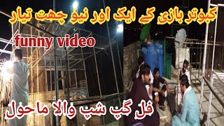 Kabootar Bazi Ki Nai Chat New Pigeons Setup Awan Pigeon Official