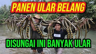Download Lagu SUNGAI TERLARANG BANYAK DIHUNI ULAR BELANG MP3