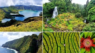 Sao Miguel, Azores | Top spots | pt. 2 | Lake of Fire, Tea and Pineapple Plantation, Ponta Delgada