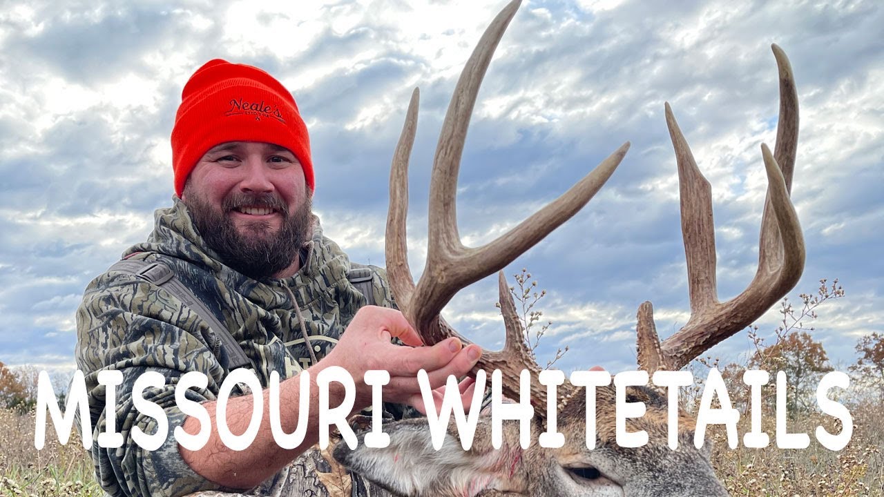 Big Missouri Bucks!! (HUNTING THE RUT!) YouTube
