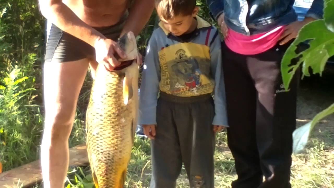 Рыбалка на Северском Донце - YouTube