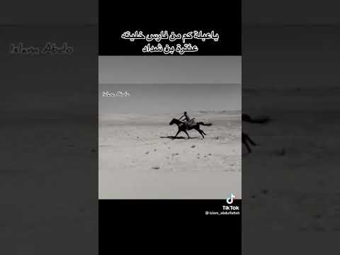 ياعبله لو اني لقيت كتيبه سبعين الف ما رهبت لقاها