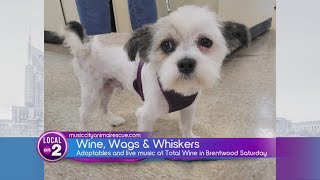 Furry friends and fine wines! Support Music City Animal Rescue