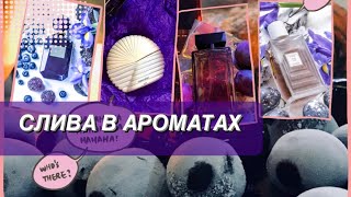 🌺 8 АРОМАТОВ С НОТОЙ СЛИВЫ ДЛЯ ЗИМЫ✨свежая, сушоная, копченая слива в парфюмках