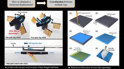 A Swimming Robot inspired by a Water Beetle