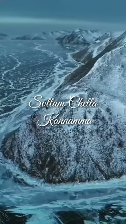 Silu siluvendru🌪⛈️🌨🌪 pongaatrru song ||vanamagan movie||status video #lyricsfinder# #tamilsongs#