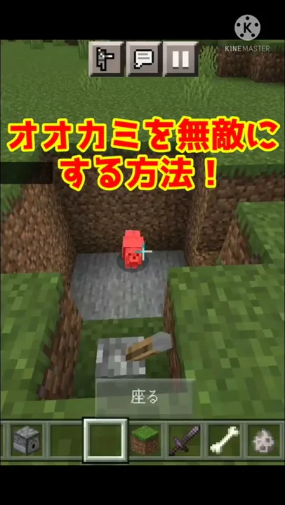 マイクラ 犬の育て方