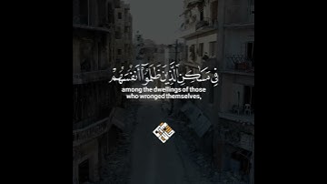 #سورة_ابراهيم نُجِبْ دَعْوَتَكَ وَ نَتَّبِعِ الرُّسُلَ #القارئ#عبدالرحمن_مسعد#تلاوة_خاشعة#حالات_واتس