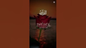 سورة الشمس #الرحمن #اكسبلور