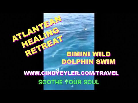 Bimini WILD DOLPHIN Atlantean Healing Retreat & Spiritual Journey | Cindy Eyler Spiritual Mentor