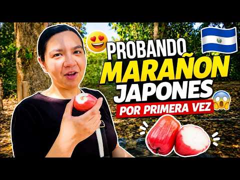 VIAJÓ a El Salvador para visitar la FINCA DEL PATECHUCHO y probar los MARAÑONES JAPONESES 😋