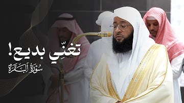 تغنِّي بديع! | تلاوة لخواتيم سورة البقرة للشيخ بدر التركي | عشاء الجمعة 3-12-1446هـ