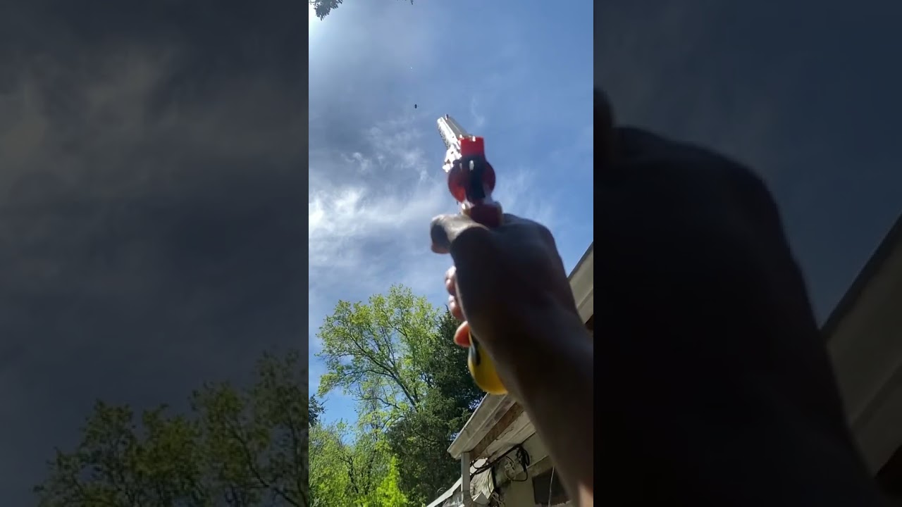 CARPENTER BEES? NO PROBLEM FOR SHRED-ER!