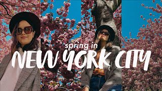 NYC VLOG 🚖 | Spring in New York City, Cherry Blossoms, Brooklyn Botanic Garden and a coffee date