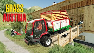 Austrian Alps - Making grass hay
