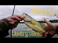 Pesca black bass: Almaraz, viento, lluvia y basses