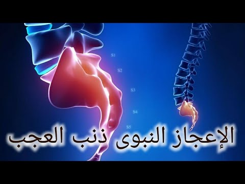 الاعجاز النبوى فى عجب الذنب