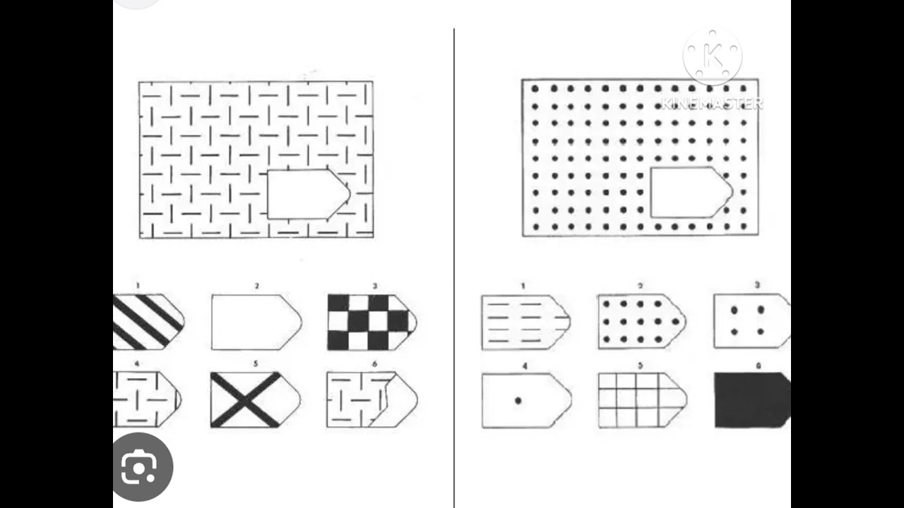 Test de Raven- escala Adultos:📝📈📊