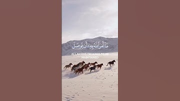 تلاوة خاشعة للقرآن الكريم ✨ #القرآن_الكريم #القرآن #تلاوة_خاشعة #تلاوة_هادئة #سورة #سورة_البقرة