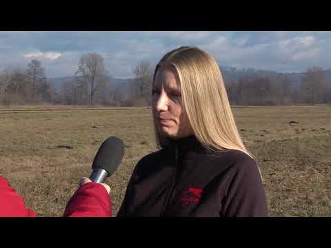 Video: Izbira In Nakup Mladička BEO