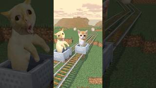 Cats and Minecart😿
