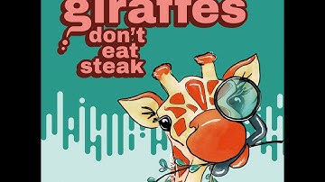 SEO Insights: Consistency, Accessibility and AI Impact on User Experience - Ep. 44