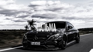 KRBK - Пальма