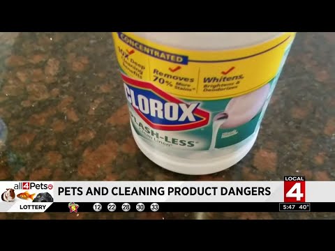 Tips for keeping pets safe from dangerous cleaning products