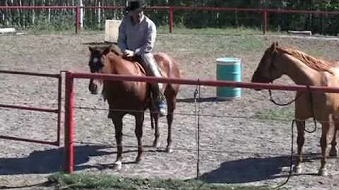 Natural Horsemanship with Glenn Stewart - Highligh...