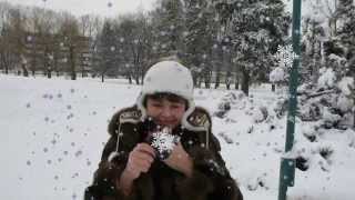 Сергей Чекалин. Падал снег. Очень красивая мелодия.