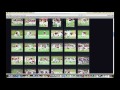 How to Order Prints How to Order Prints