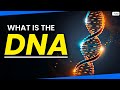 Understanding DNA: The Blueprint of Life