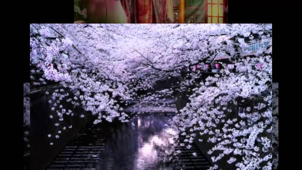 Japanese spring... ...(music Karunesh)... ... Japanese spring... ...(music Karunesh)... ...