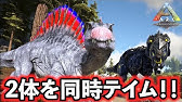 Ark Ps4版 01 ソロでも快適に楽しめる設定紹介 実況 Youtube