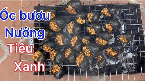 Cách Làm Món Ốc Bươu Nướng Tiêu Xanh