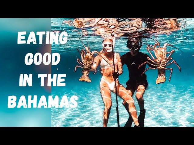 MASSIVE LOBSTER🦞 / Sailing Little Inagua to Hogsty Reef⛵️ Pirates or people in need? Season 2 Ep. 3