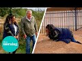 Alison hammond visits diddly squat and helps out on clarksons farm  this morning