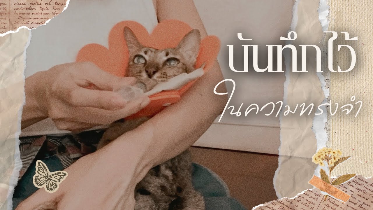 [Eng Sub] To be Rembered บันทึกไว้ในความทรงจำ | ป้อนข้าวพี่น้ำมัน