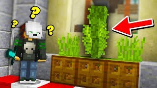 I disguised as TALL GRASS and it ACTUALLY WORKED... (Minecraft Murder Mystery Camo Trolling)