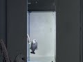 🐠 Funny Fish Fight in Aquarium | Amazing & Hilarious Fish Battle | 😂 Why Are These Fish Fighting?