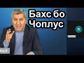 Бахси Мухиддин Кабири бо чоплуси бо адаб