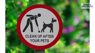 Lawn Mowing Service Hagerstown Maryland Dog Poop