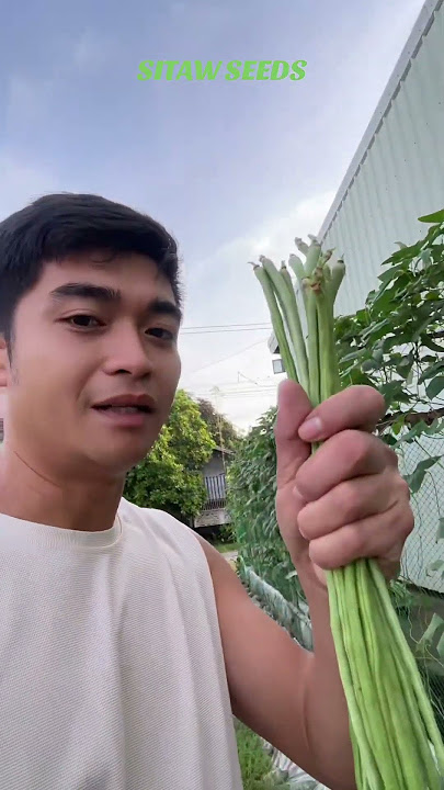 https://vt.tiktok.com/ZSDGDrpDV/