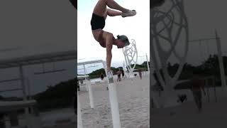 Straight Bar Handstand Push-Ups .R3D