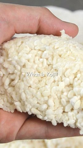 What is Koji? #shorts