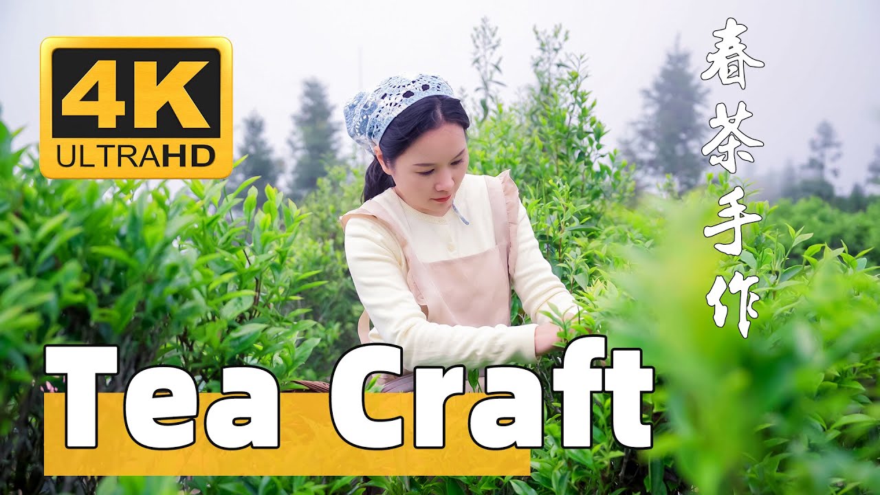 От листа к чашке｜Традиционное китайское чаепитие