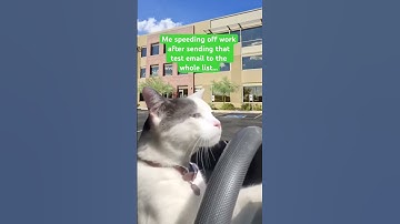 Me speeding off work after sending a test email to the whole list #emailmarketing