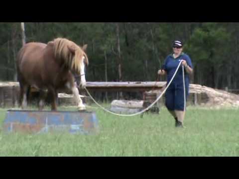Robyn Reynolds 295399.wmv
