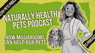 How Mushrooms Can Help Our Pets | NHP Podcast Ep. 25 | Dr. Judy Morgan & Joni Kamlet