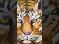 Fierce tiger in acrylic 🐅🔥Wild beauty on canvas! #TigerArt #AcrylicPainting #PassionArtSmart #art